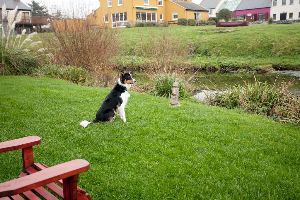 Aille River Tourist Hostel And Camping Doolin Luaran gambar