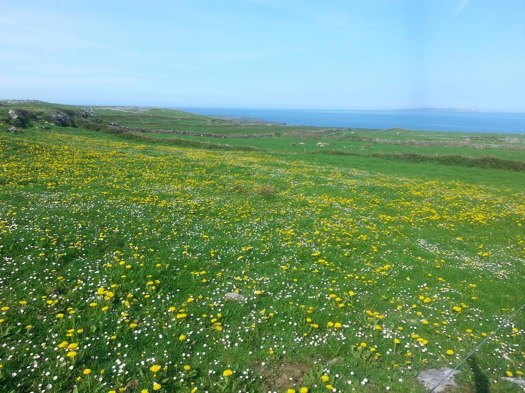 Aille River Tourist Hostel And Camping Doolin Luaran gambar